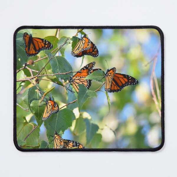 Item preview, Monarch migration designed and sold by telley20.