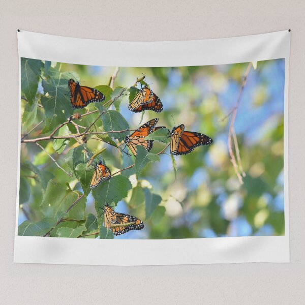 Item preview, Monarch migration designed and sold by telley20.