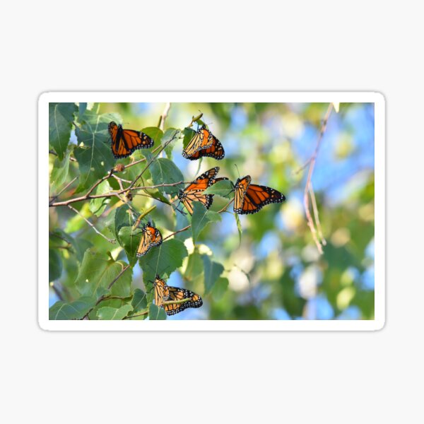 Item preview, Monarch migration designed and sold by telley20.