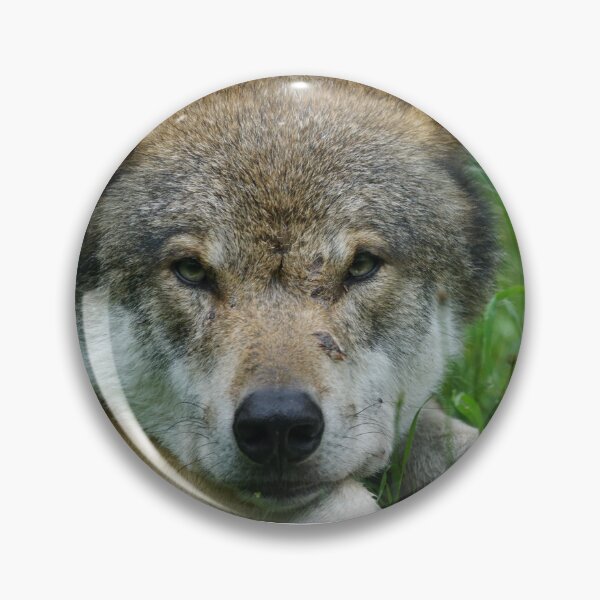 Item preview, Wolf designed and sold by petartodorovski.