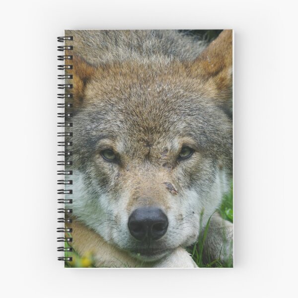 Item preview, Wolf designed and sold by petartodorovski.