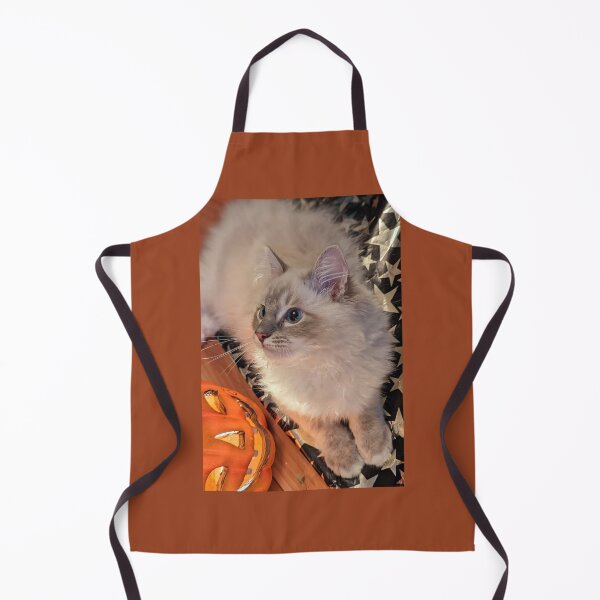 Item preview, Beautiful lynx ragdoll kitten designed and sold by Fluffycat2020.