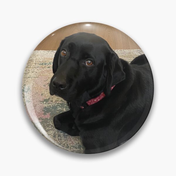 Artikelvorschau, Black Lab verdächtig entworfen und verkauft von LittleBirdInk.