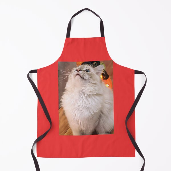 Item preview, Beautiful lynx ragdoll kitten designed and sold by Fluffycat2020.