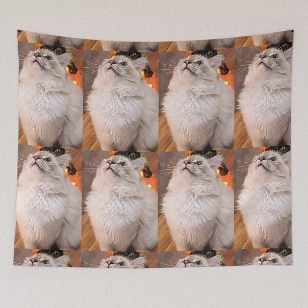 Item preview, Beautiful lynx ragdoll kitten designed and sold by Fluffycat2020.