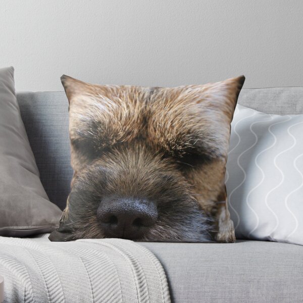 Border Terrier Gifts for Dog Lovers Whiskers & Paws Throw Pillow