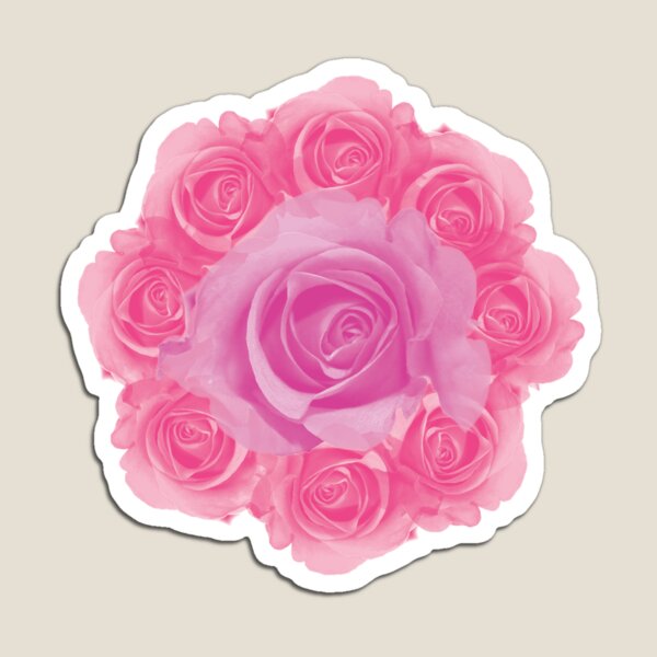 Rose is a rose Magnet