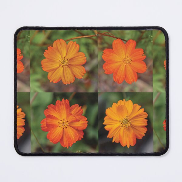 Item preview, Flores naranjas designed and sold by OneCreativePup.