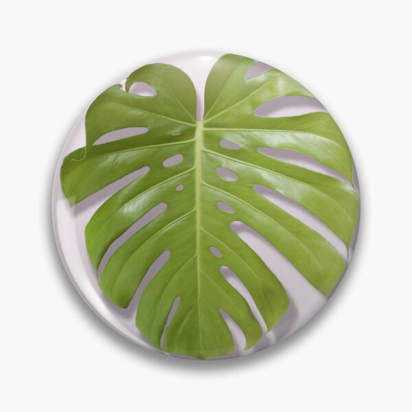 Item preview, Monstera leaf designed and sold by Floral-Art.