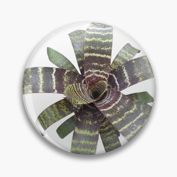 Item preview, Vriesea designed and sold by Floral-Art.
