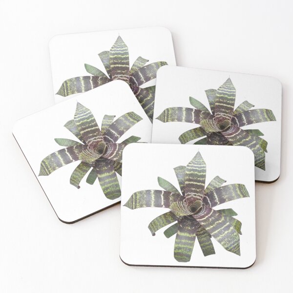 Item preview, Vriesea designed and sold by Floral-Art.