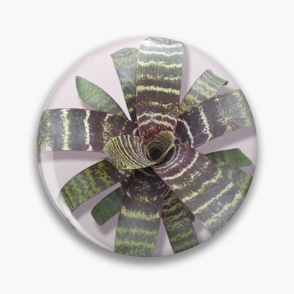Item preview, Vriesea bromeliad designed and sold by Floral-Art.