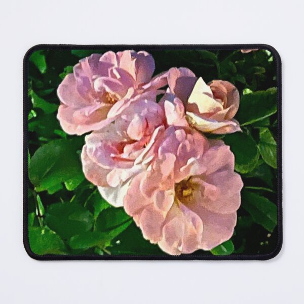 Item preview, Pink rose photography designed and sold by lemonsNlavender.