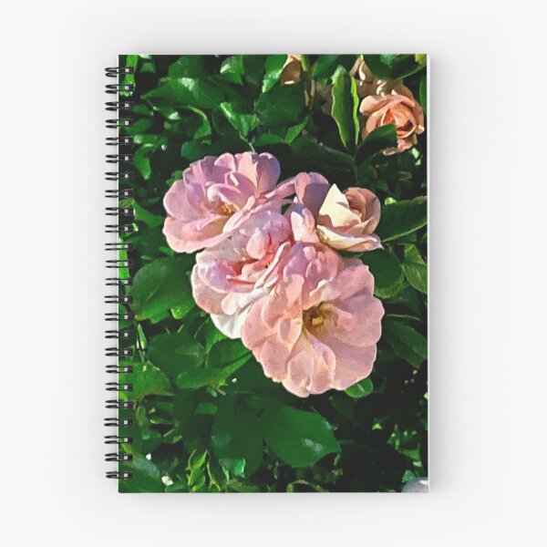 Item preview, Pink rose photography designed and sold by lemonsNlavender.