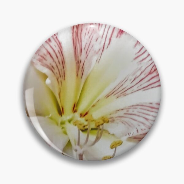 Item preview, Amaryllis designed and sold by wumplekin.