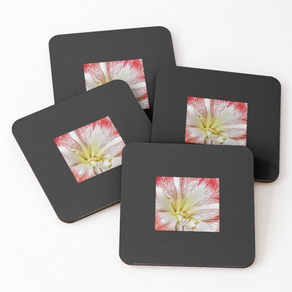 Item preview, Amaryllis designed and sold by wumplekin.