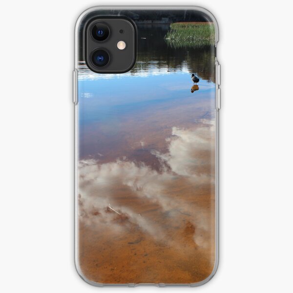 Contemplating Dunn's Swamp iPhone Soft Case