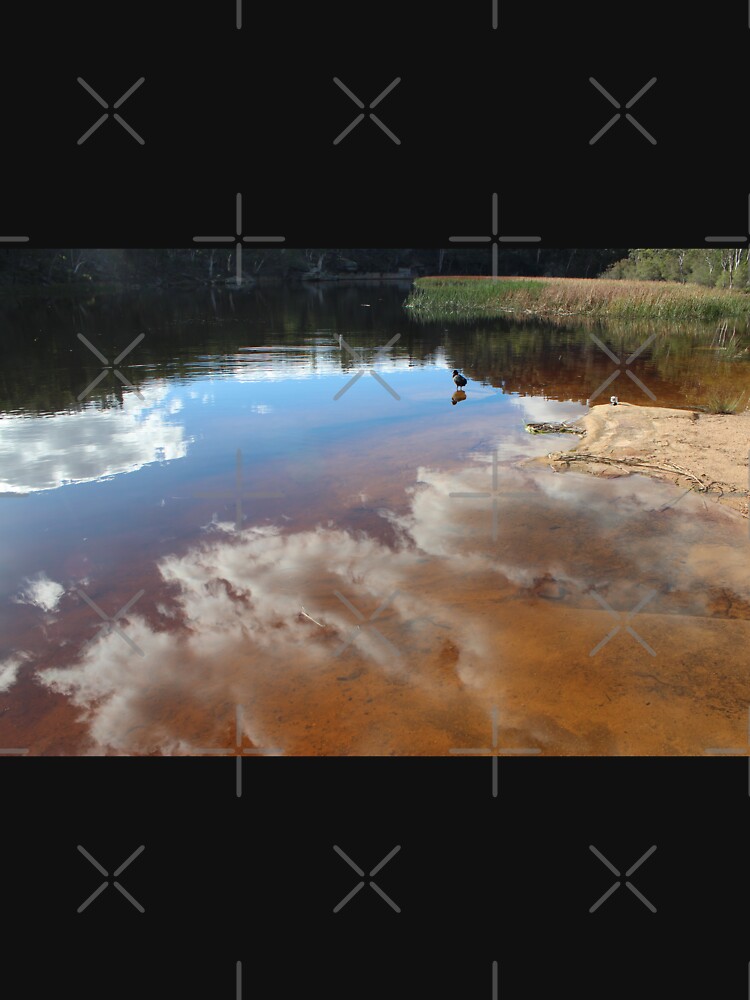 Contemplating Dunn's Swamp by KazM