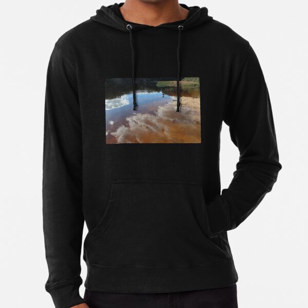 Contemplating Dunn's Swamp Lightweight Hoodie