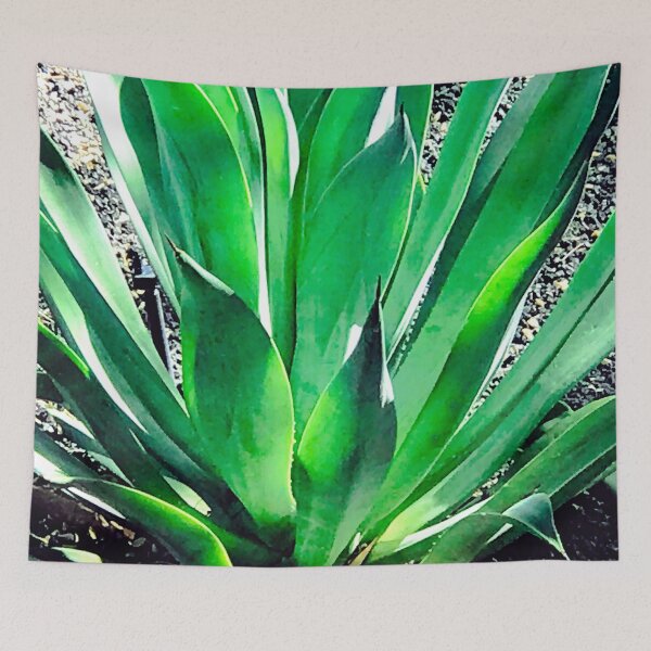 Item preview, Breathtaking Agave Succulent-Leaves Art Photo designed and sold by DEC02.