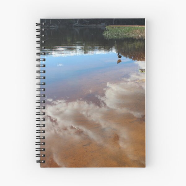Item preview, Contemplating Dunn's Swamp designed and sold by KazM.