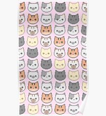 Kitty Wallpaper - Pink Poster