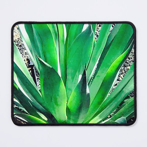 Item preview, Breathtaking Agave Succulent-Leaves Art Photo designed and sold by DEC02.