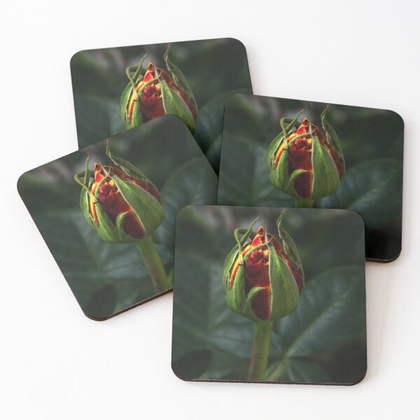 Item preview, Rosebud in the Light designed and sold by heatherfriedman.