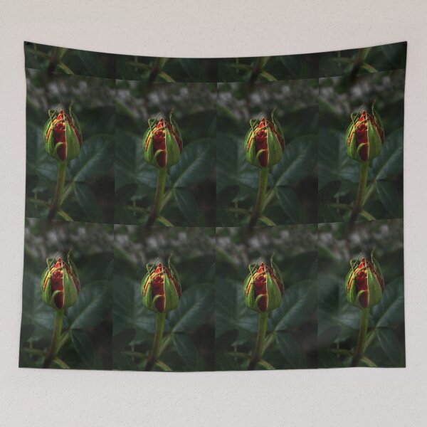 Item preview, Rosebud in the Light designed and sold by heatherfriedman.