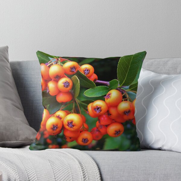 Item preview, Pyracantha Berries designed and sold by lezvee.