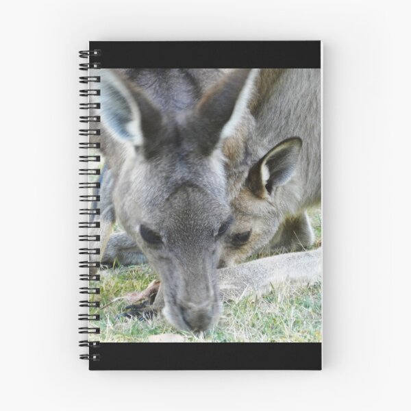 Item preview, Lazy Joey picks grass whilst in pouch - Hall's Gap  Vic. designed and sold by EdsMum.