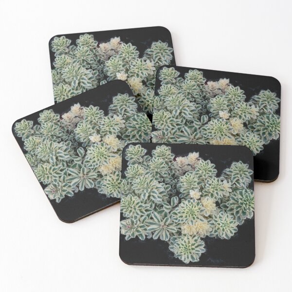 Item preview, Atlantis Sedum designed and sold by Gerda Grice Photography.