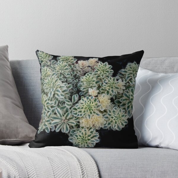 Item preview, Atlantis Sedum designed and sold by Gerda Grice Photography.