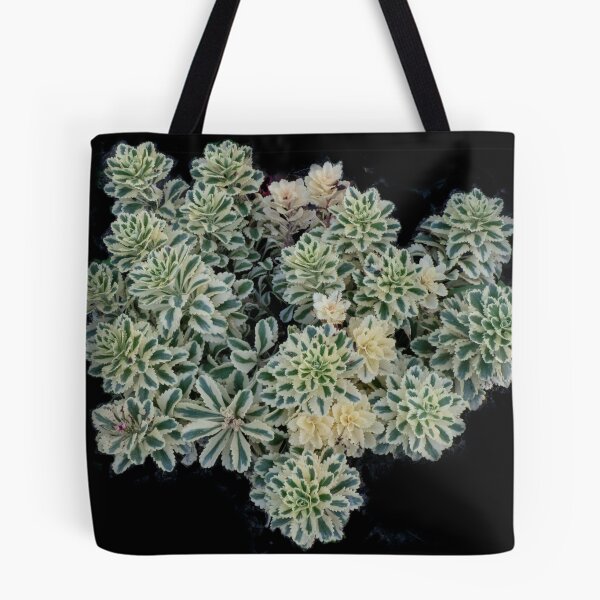 Item preview, Atlantis Sedum designed and sold by Gerda Grice Photography.