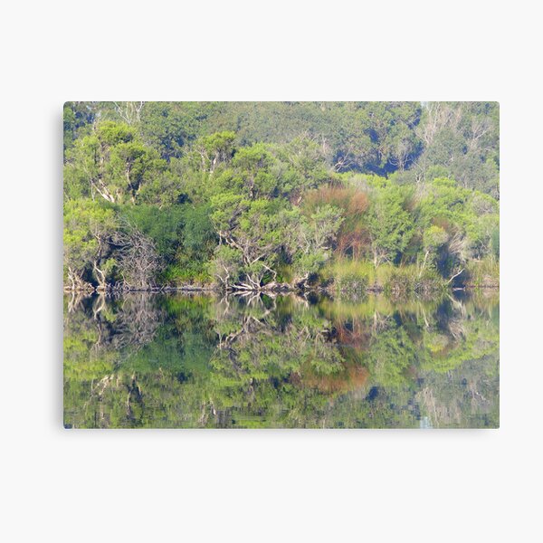 Untitled Metal Print