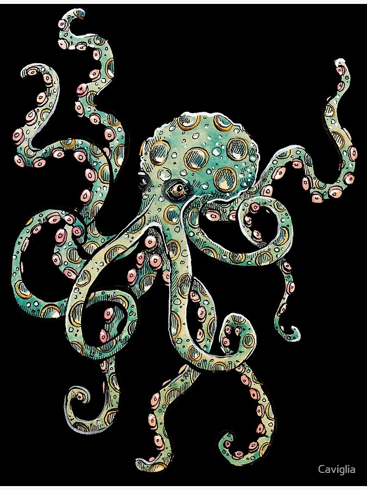 Octopus Poster For Sale By Caviglia Redbubble