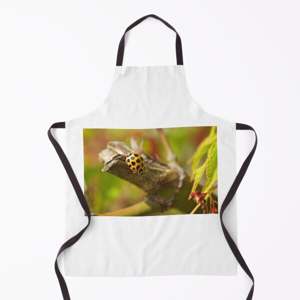 Item preview, Lady Bug designed and sold by D-GaP.