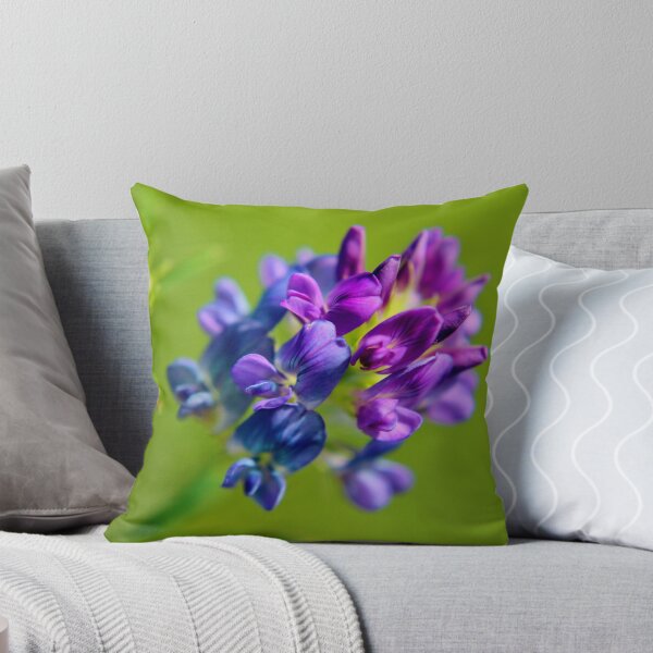 Item preview, Alfalfa designed and sold by Kathleen Daley.