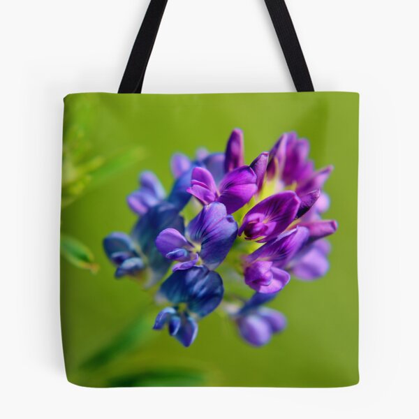 Item preview, Alfalfa designed and sold by Kathleen Daley.