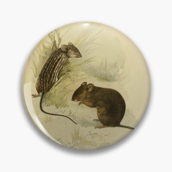 Item preview, Vintage Rats Book Page Photo designed and sold by semioddfinds.