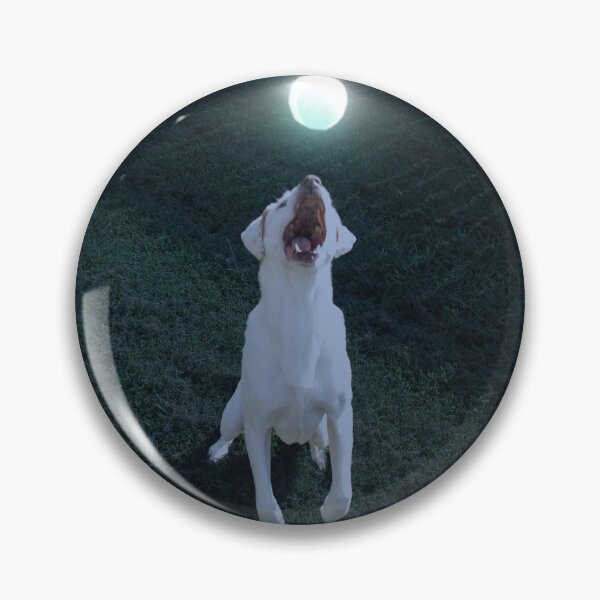 Item preview, Dog playing glow ball designed and sold by PandLcreations.