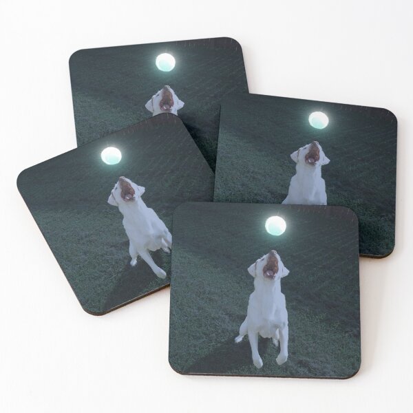 Item preview, Dog playing glow ball designed and sold by PandLcreations.