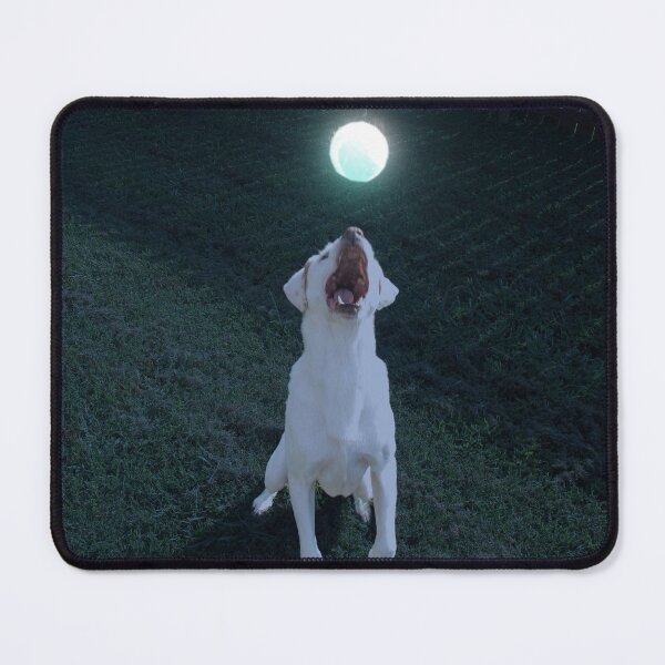 Item preview, Dog playing glow ball designed and sold by PandLcreations.