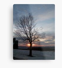 Farm Tree Metal Print