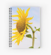 Cuaderno de espiral Sunflower king in blue sky