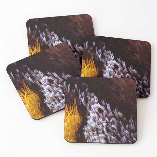 Item preview, Moth Wing Scales 1 designed and sold by Microscope-Art.