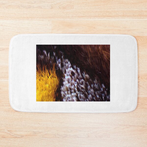 Item preview, Moth Wing Scales 1 designed and sold by Microscope-Art.