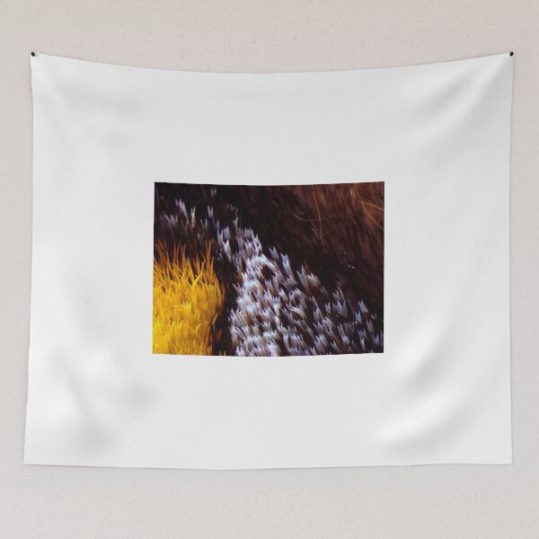 Item preview, Moth Wing Scales 1 designed and sold by Microscope-Art.