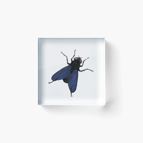 Item preview, FLY ON designed and sold by ArtbyLeclerc.