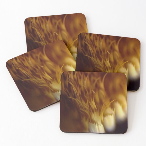 Item preview, Moth Wing Scales 2 designed and sold by Microscope-Art.